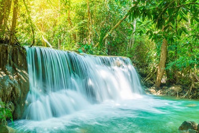 Scenic view of waterfall in forest