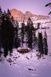 Snow covered land and trees against sky