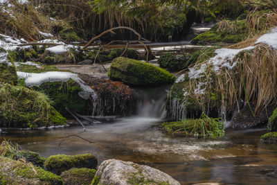 Scenic view of waterfall in forest