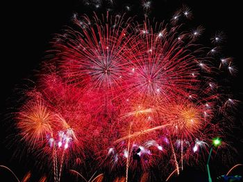 Low angle view of firework display at night