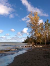 Scenic view of beach