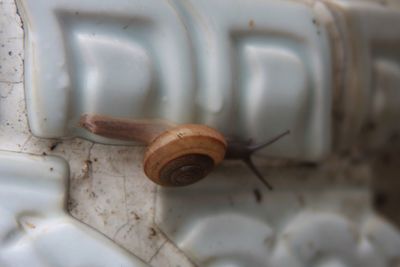 Close-up of rusty metal