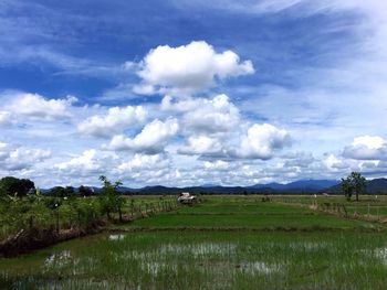 Scenic view of grassy field against cloudy sky