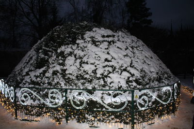 Close-up of illuminated tree in winter at night