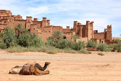 View of old ruins