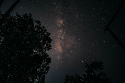 Low angle view of silhouette trees against sky at night