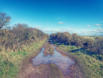 Scenic view of landscape against blue sky