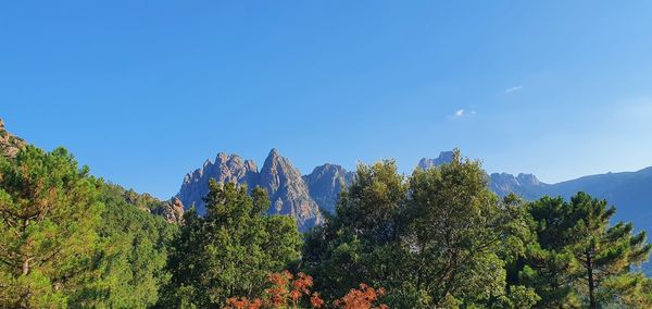 Scenic view of trees against blue sky