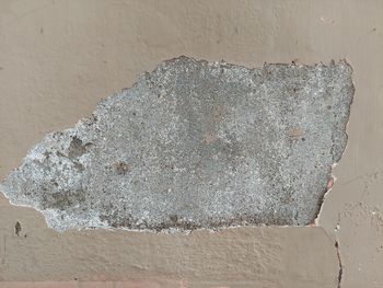 wall