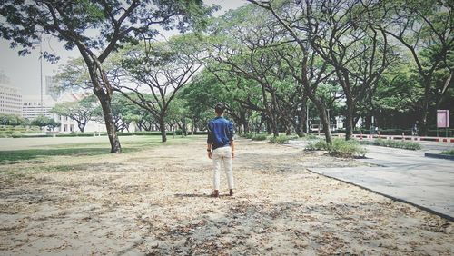 Rear view of man standing in public park