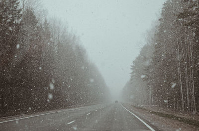 Road amidst trees during winter