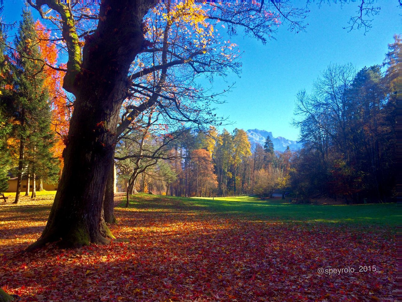 Parc de la grande jeanne