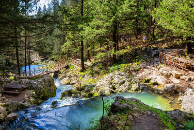 Stream flowing through rocks in forest