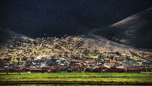 Buildings in city