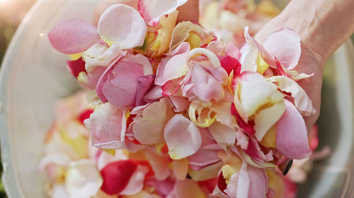 Close-up of hand holding flower bouquet