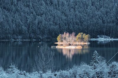 Scenic view of lake in forest during winter