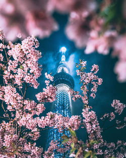 Low angle view of pink flowering plant against building