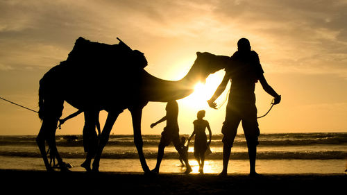 Silhouette people riding horses at sunset