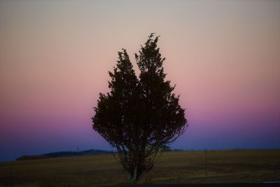 Silhouette tree on field against sky during sunset