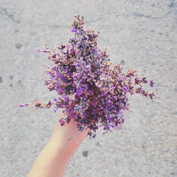 Close-up of lavender bouquet