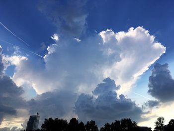 Low angle view of trees against sky