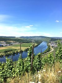 Scenic view of river by agricultural fields