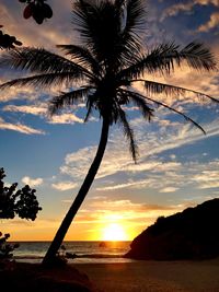 Silhouette palm tree by sea against sky during sunset