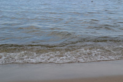 Scenic view of beach