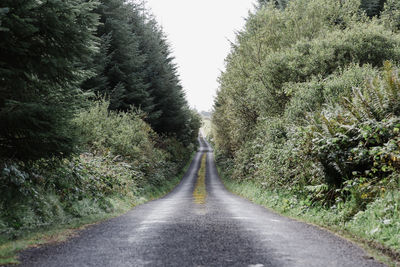 Road amidst trees against clear sky