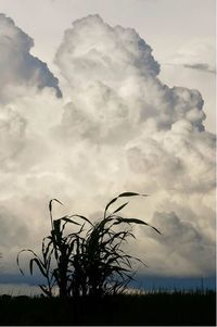 Scenic view of landscape against cloudy sky