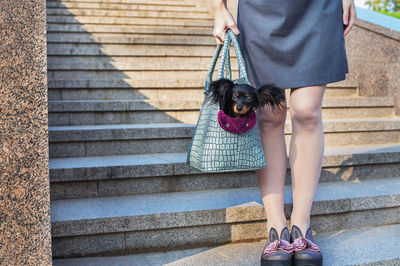 Low section of woman with dog on staircase