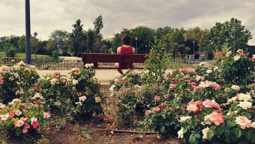 Rear view of man walking on bench in park