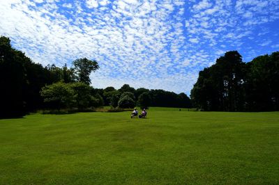 Couple sitting on chair at park against sky