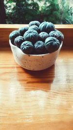 Close-up of succulent plant on table