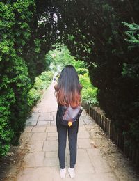 Rear view of woman standing on footpath amidst trees