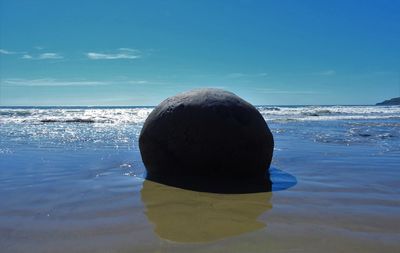 Rear view of man on beach
