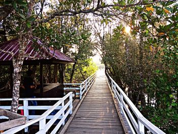 Boardwalk amidst plants and trees by building