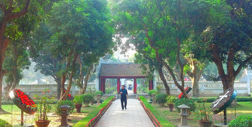 Rear view of man standing by plants