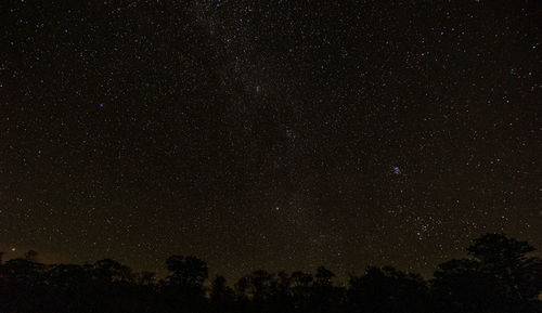 Low angle view of silhouette trees against sky at night