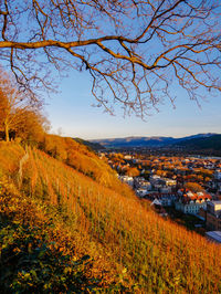 Scenic view of landscape against sky during autumn