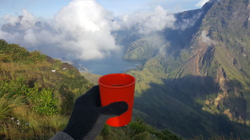 Cropped hand holding glass of drink against mountain
