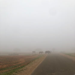Road amidst field against sky during foggy weather