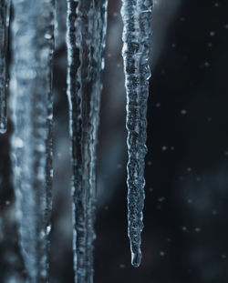 Close-up of frozen water