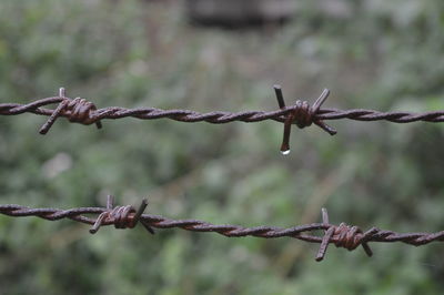 Close-up of barbed wire fence