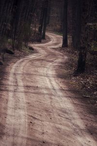 Dirt road amidst trees in forest