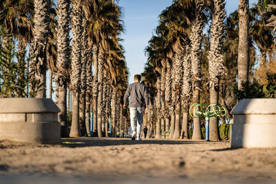 Rear view of people walking on street