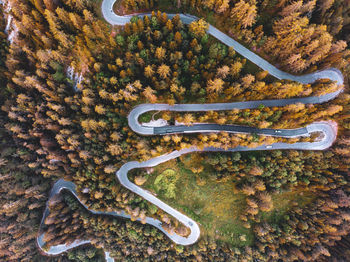 High angle view of autumn leaves on road