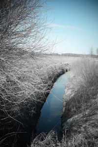 Scenic view of lake against clear sky during winter