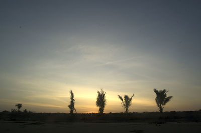 Silhouette trees on field against sky during sunset