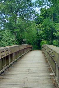 Wooden footbridge in forest